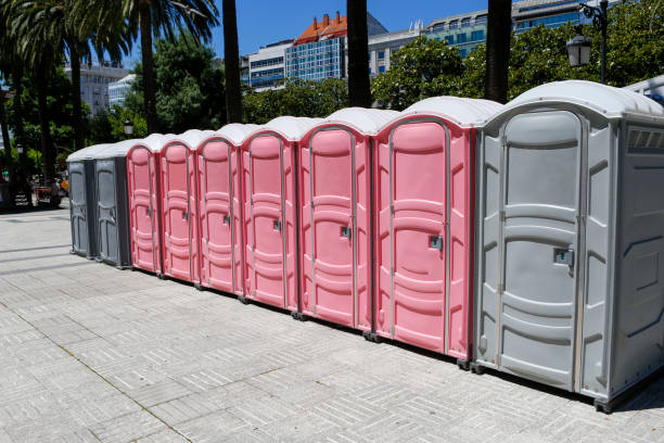 Best Portable Toilets with Baby Changing Stations  in Hallettsville, TX